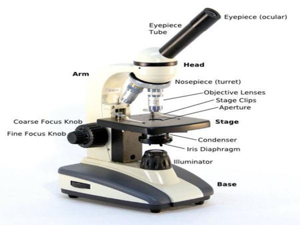 PRACTICAL MICROBIOLOGY - ppt download