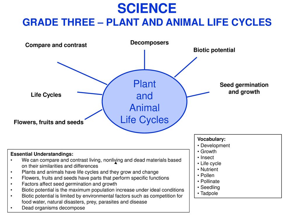 SCIENCE GRADE THREE – PLANT AND ANIMAL LIFE CYCLES - ppt download