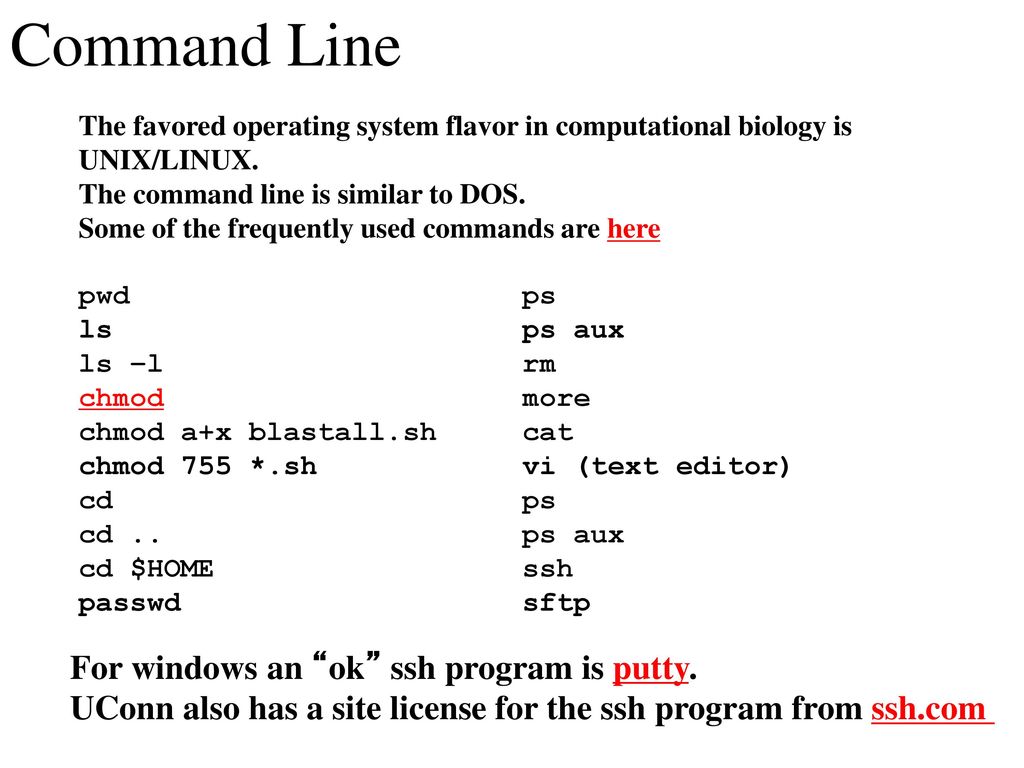 Command Line For Windows An Ok Ssh Program Is Putty Ppt Download