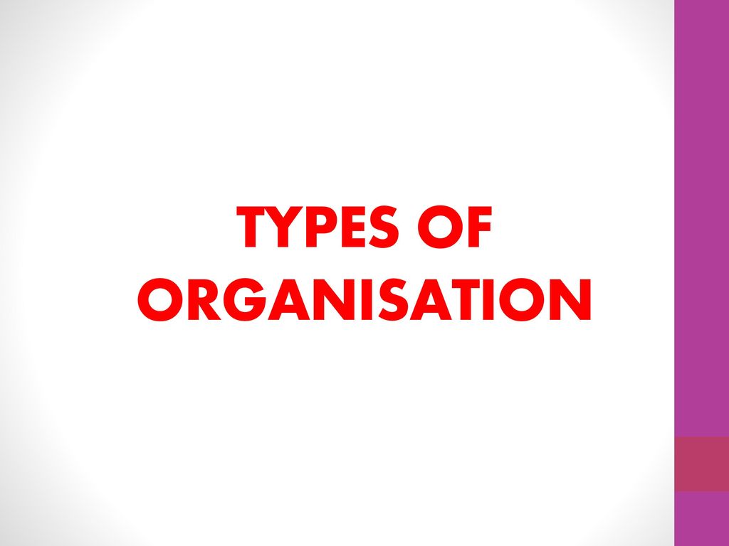 Organisation - .
