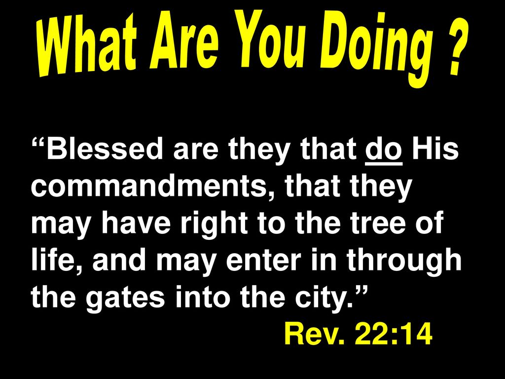 What Are You Doing ? “Blessed are they that do His commandments, that they  may have right to the tree of life, and may enter in through the gates  into. - ppt download