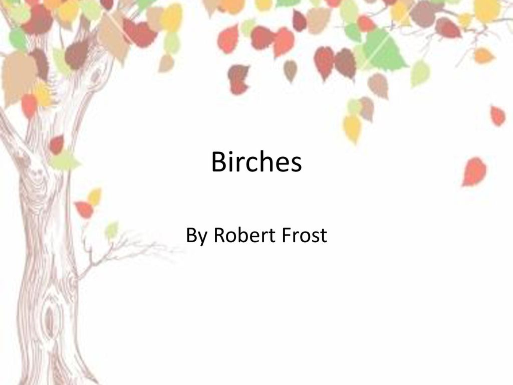 Birches By Robert Frost. image