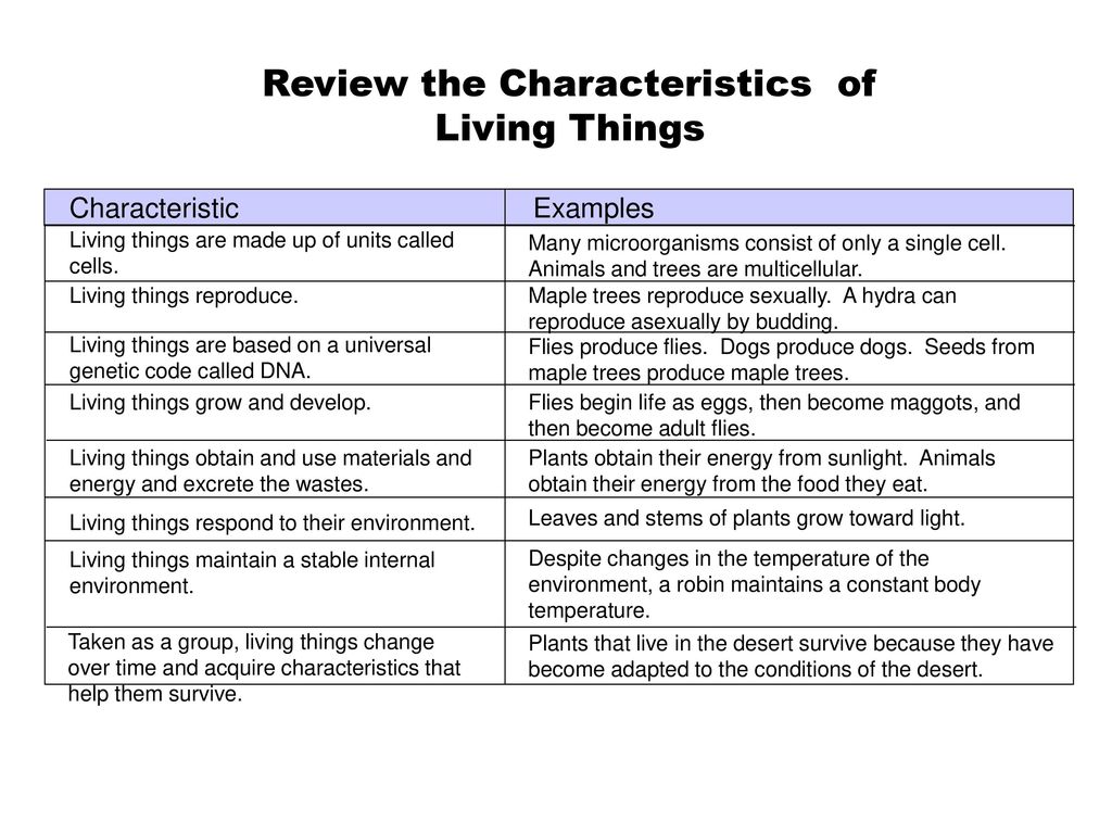 Review The Characteristics Of Living Things Ppt Download