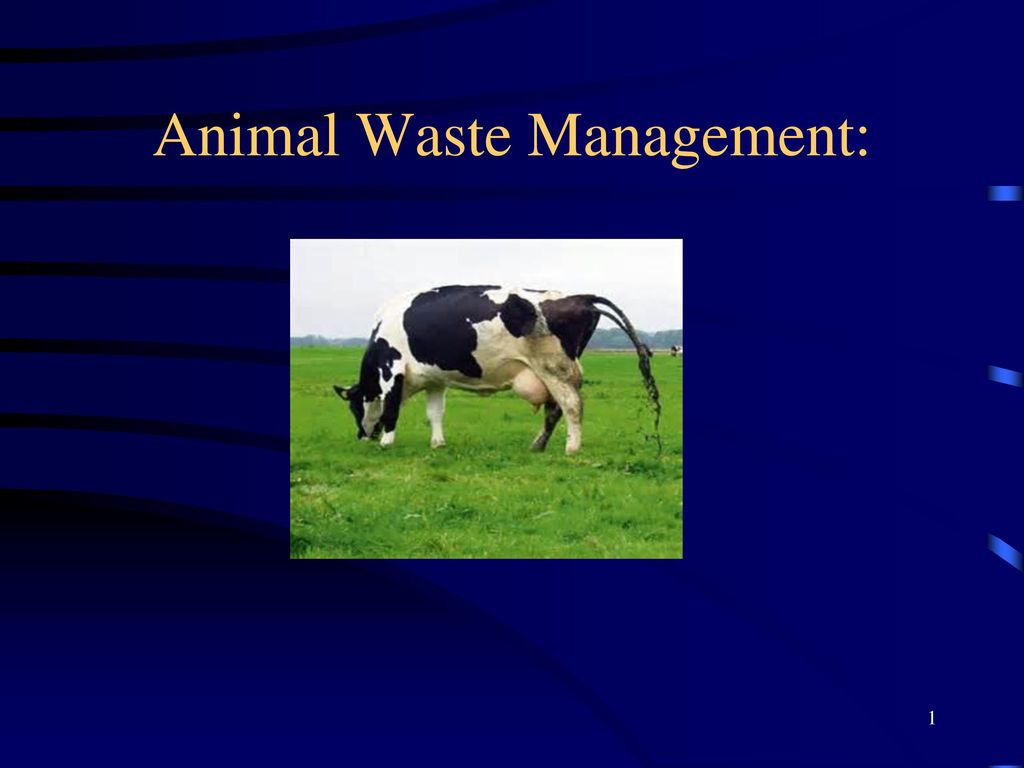 Animal Waste Management: - ppt download