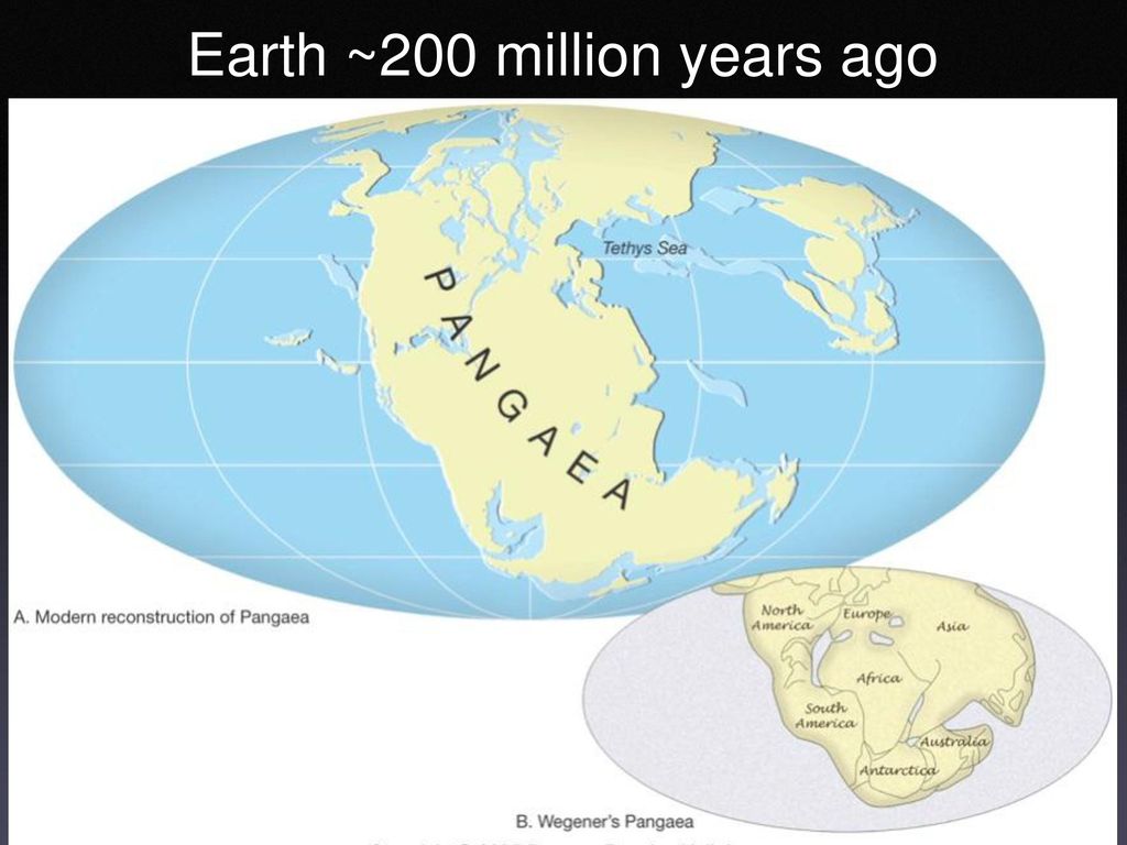 Map Of Earth 200 Million Years Ago Earth ~200 Million Years Ago - Ppt Download