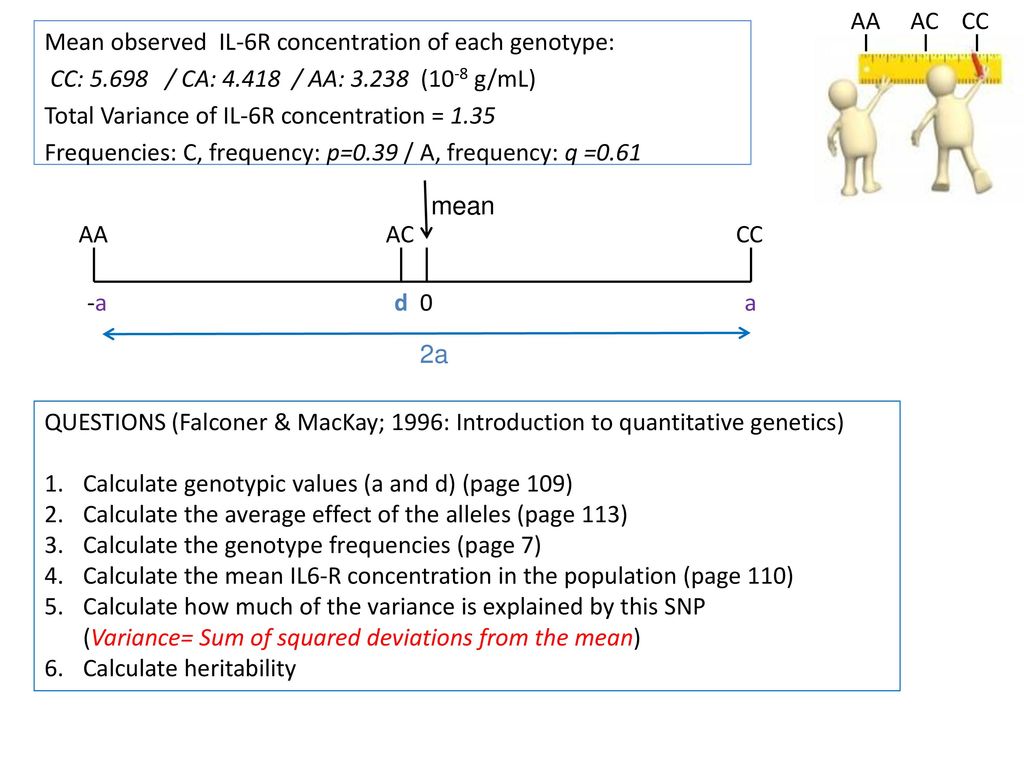 Cc Ac Mean Observed Il 6r Concentration Of Each Genotype Ppt Download