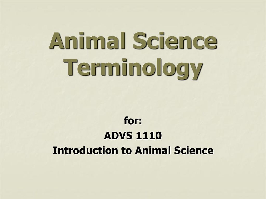 Animal Science Terminology - ppt download