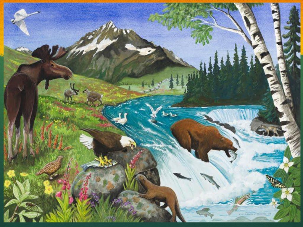 Обитатели природной экосистемы. Лес с животными и растениями. Живопись животные в природе. Иллюстрации сообщества природы. Обитатели горной экосистемы.