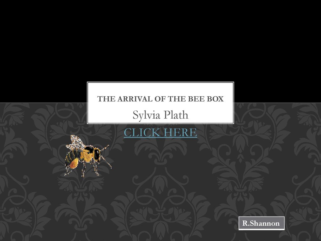 The Arrival of the Bee Box - ppt download