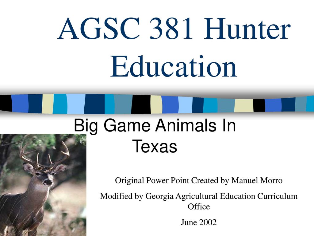 Big Game Animals In Texas - ppt download