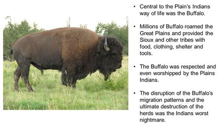 Central to the Plain’s Indians way of life was the Buffalo. Millions of Buffalo roamed the Great Plains and provided the Sioux and other tribes with food,