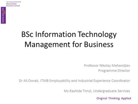 BSc Information Technology Management for Business