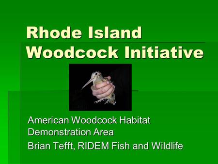 Rhode Island Woodcock Initiative American Woodcock Habitat Demonstration Area Brian Tefft, RIDEM Fish and Wildlife.