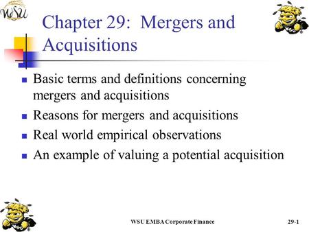 Chapter 29: Mergers and Acquisitions