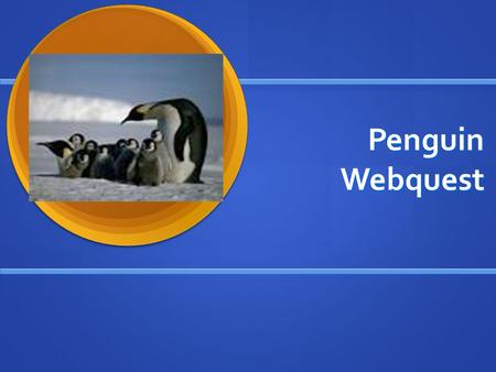 Penguin Webquest. Introduction Congratulations! Bundle up in layers of warm clothes because you are going to Antarctica! You have been selected to work.