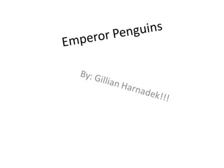 Emperor Penguins By: Gillian Harnadek!!!. T.O.C (Table of contents ) 1.Introduction 2.What is a Emperor Penguin 3.Where do Emperor Penguins live 4.What’s.