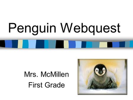 Penguin Webquest Mrs. McMillen First Grade. Sea World Web Cam Web Cam Make observations. What do you see?