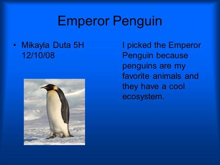 Emperor Penguin Mikayla Duta 5H 12/10/08 I picked the Emperor Penguin because penguins are my favorite animals and they have a cool ecosystem.