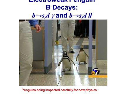 Electroweak Penguin B Decays: b→s,d  and b→s,d ll Jeffrey Berryhill University of California, Santa Barbara For the BaBar Collaboration LNS Journal Club.