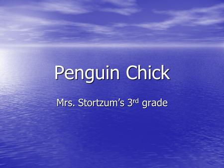 Mrs. Stortzum’s 3rd grade