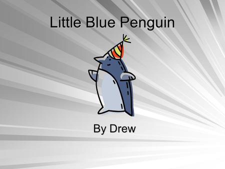 Little Blue Penguin By Drew Bird They have a backbone. They have two wings, two legs, and a beak. They are warm blooded. The Little Blue Penguin hatches.