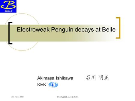 23, June, 2005Beauty2005, Assisi, Italy Electroweak Penguin decays at Belle Akimasa Ishikawa KEK.