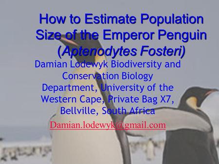 How to Estimate Population Size of the Emperor Penguin (Aptenodytes Fosteri) Damian Lodewyk Biodiversity and Conservation Biology Department, University.