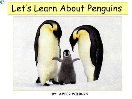 Let’s Learn About Penguins BY: AMBER WILBURN. Penguins are Birds They cannot fly. TheyThey have black and white feathers. TheirTheir bodies are like torpedoes.
