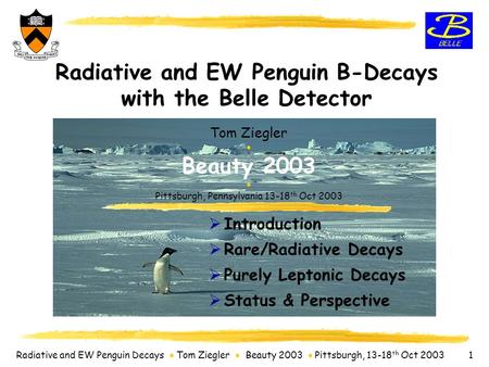Radiative and EW Penguin Decays  Tom Ziegler  Beauty 2003  Pittsburgh, 13-18 th Oct 2003 1 Radiative and EW Penguin B-Decays with the Belle Detector.