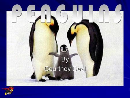 PENGUINS By Courtney Deal.