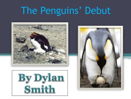 The Penguins’ Debut. Waddle, waddle. Slip and slide. Dive down deep. Catch some fish and swim away happy. Aahh! The life of a penguin. Let’s explore the.