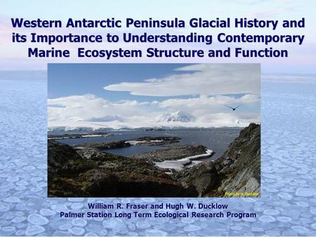 Western Antarctic Peninsula Glacial History and its Importance to Understanding Contemporary Marine Ecosystem Structure and Function William R. Fraser.