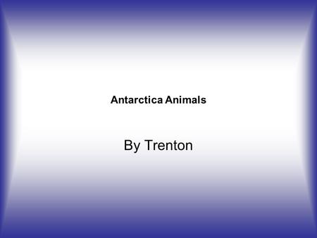 Antarctica Animals By Trenton. Krill  rinelife.shtmlhttp://www.antarcticconnection.com/antarctic/science/ma.