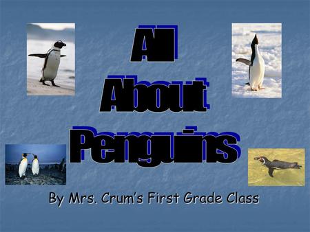 By Mrs. Crum’s First Grade Class Table of Contents What Penguins Look Like………….………3 What Penguins Look Like………….………3 Where Penguins Live………………….……..6.
