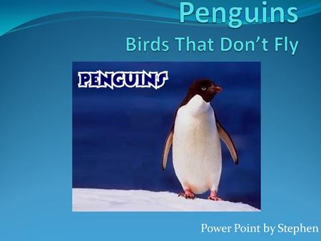 Power Point by Stephen. Introdution Speedy little blurs flying throgh the water they are penguins but penguins don’t fly they waddle and when babys are.