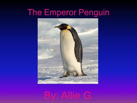 The Emperor Penguin By: Allie G.. General Information The Emperor Penguin is in the mammal group The scientific name is Aptenodytes forsteri The life.