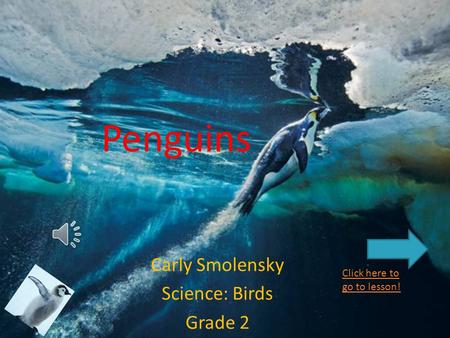 Penguins Carly Smolensky Science: Birds Grade 2 Click here to go to lesson!