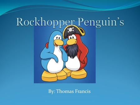 By: Thomas Francis. Rockhopper Penguin’s have their own hair styles Rockhopper’s are found in Sub-antarctic islands.