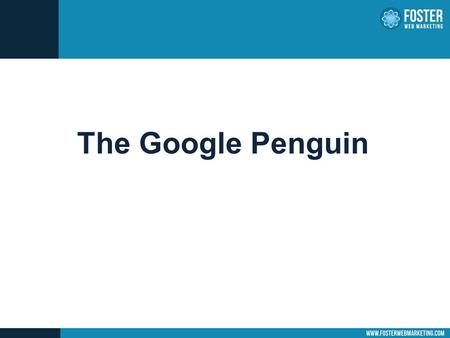The Google Penguin. First there was the Panda......then came the Penguin.