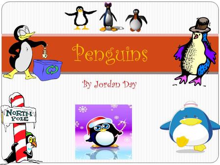 Penguins By Jordan Day.