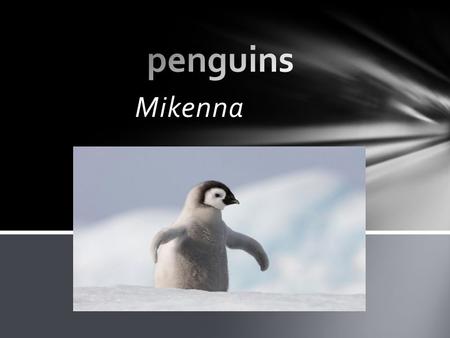 Mikenna. Penguins live in cool places. For example, penguins are not found where polar bears are. Penguins live in the southern hemisphere. Waitaha penguins.