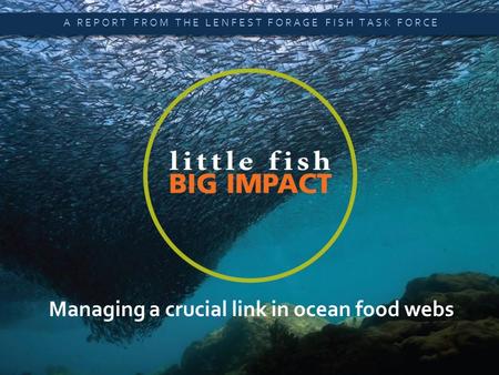 Little Fish, Big Impact  A SUMMARY OF NEW SCIENTIFIC ANALYSIS Managing a crucial link in ocean food webs A REPORT FROM THE LENFEST FORAGE FISH TASK FORCE.