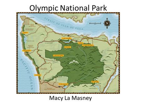 Olympic National Park Macy La Masney.