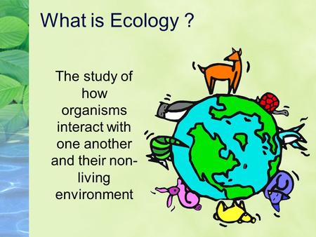 What is Ecology ? The study of how organisms interact with one another and their non-living environment.