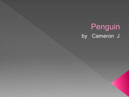 Penguin by Cameron J. Habitat Every continent in the southern hemisphere.