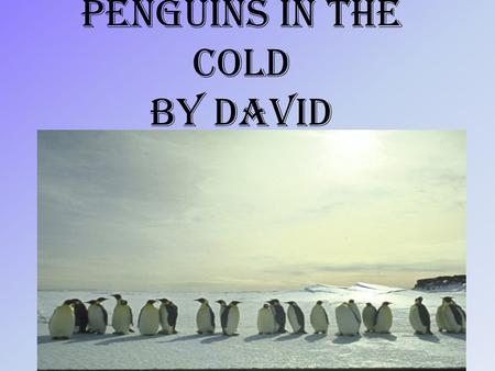Penguins in the cold By David. Table of contents fun factfun fact.