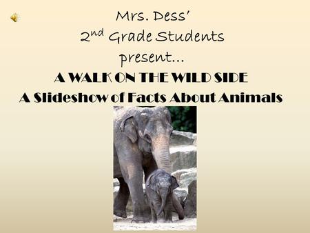 Mrs. Dess’ 2nd Grade Students present…