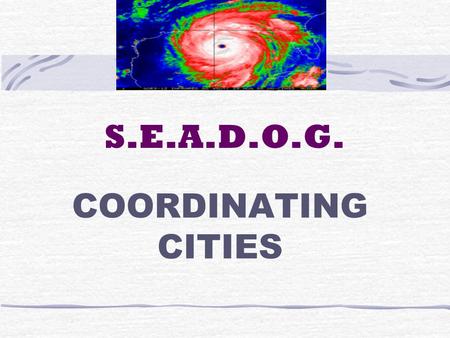 S.E.A.D.O.G. COORDINATING CITIES. S.E.A.D.O.G. SOUTHWEST CLEARINGHOUSE HOUSTON AIRPORT SYSTEM CONTACT: BOB WHITE TOM BARTLETT 281 233-1968 281 233-1994.