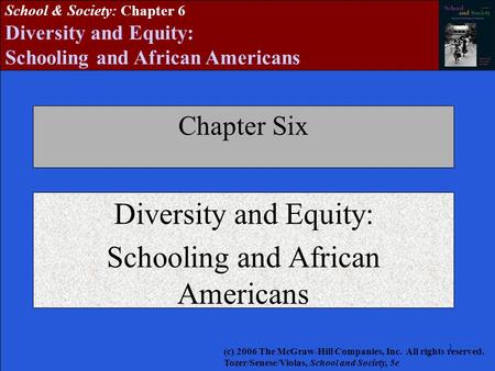 Diversity and Equity: Schooling and African Americans