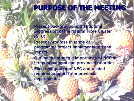 PURPOSE OF THE MEETING a) Present background and structural progression of the Natural Fibre Cluster (NFC) b) Present progress in terms of programme/project.